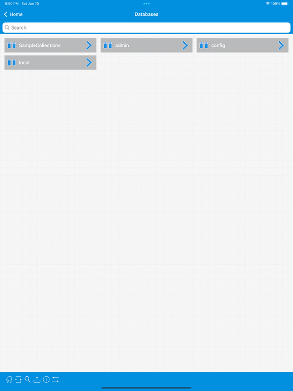 MongoDB iPad Screenshot 2