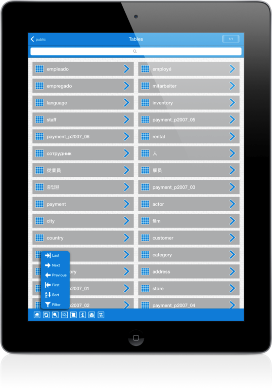 PostgreSql iPad Screenshot 3