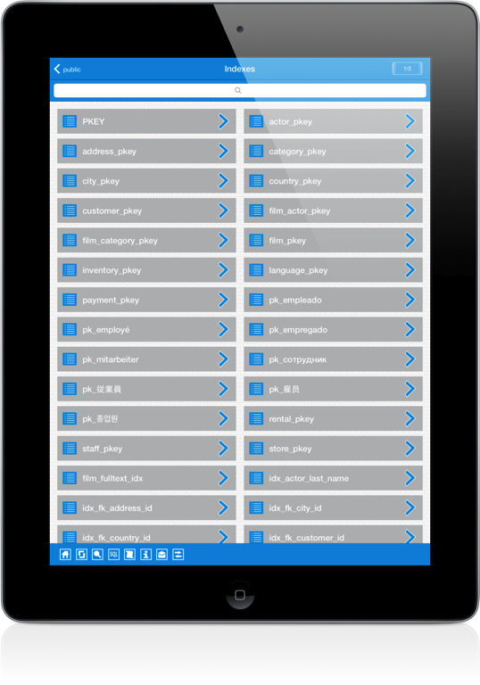 PostgreSql iPad Screenshot 8