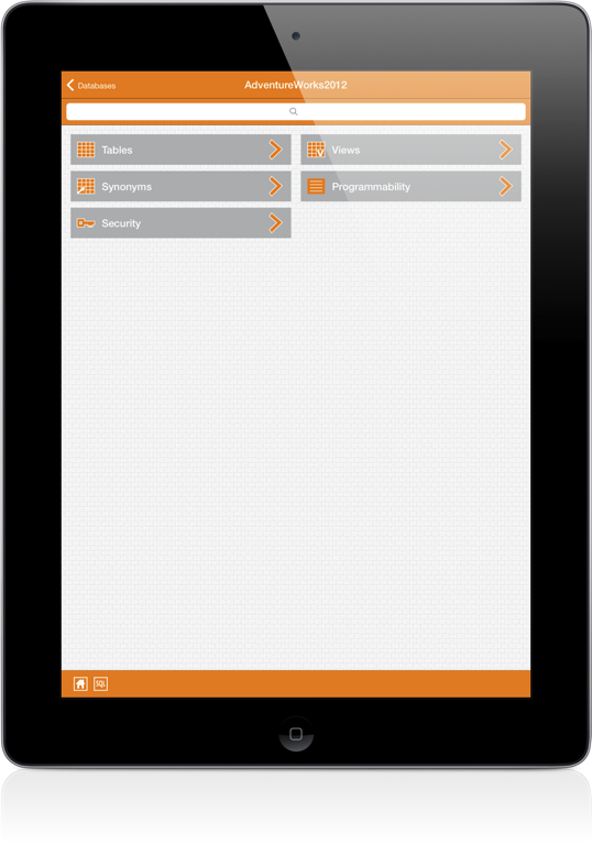 SqlServer iPad Screenshot 3