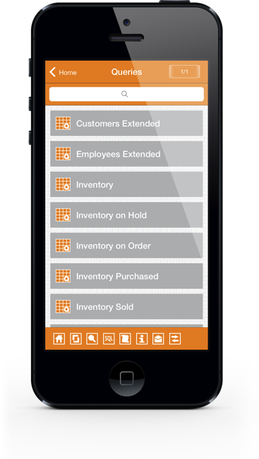 Access iPhone Screenshot 4
