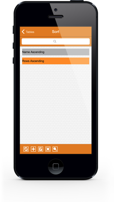Access iPhone Screenshot 7
