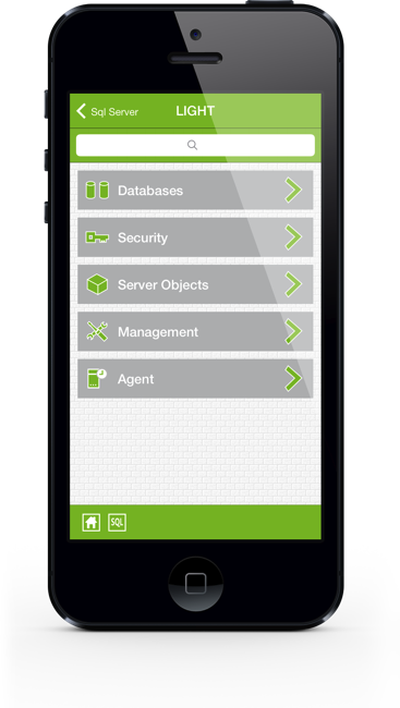 SqlServer iPhone Screenshot 2