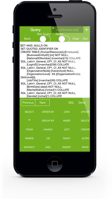 SqlServer iPhone Screenshot 6