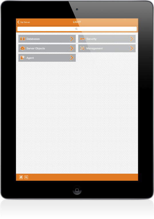 SqlServer iPad Screenshot 2