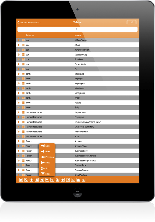 SqlServer iPad Screenshot 5