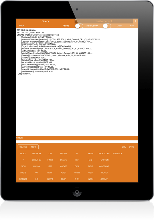 SqlServer iPad Screenshot 6