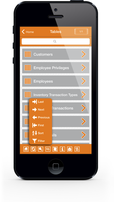 Access iPhone Screenshot 3
