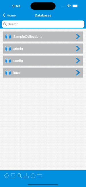 MongoDB iPhone Screenshot 2