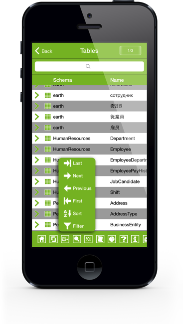 SqlServer iPhone Screenshot 5